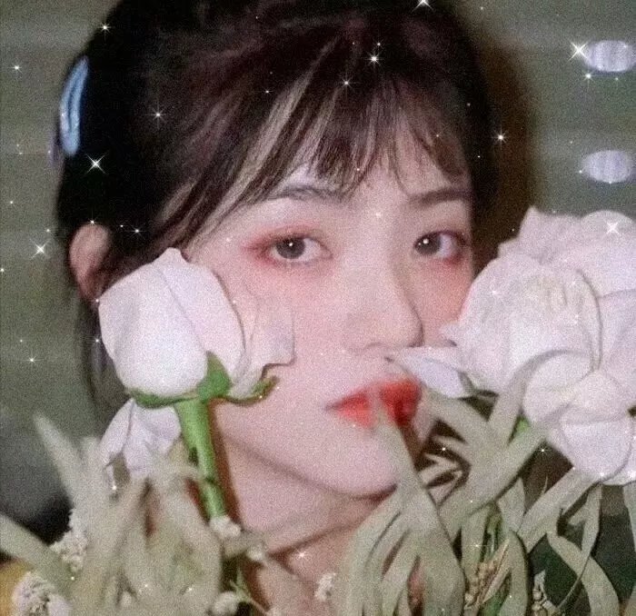 情挑淑女心